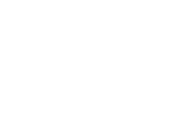 투명한 아로하
