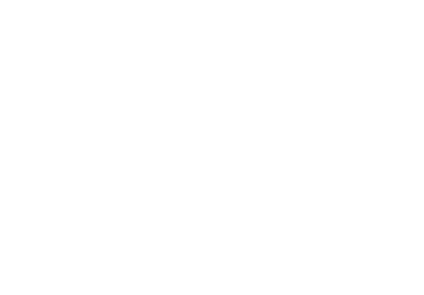 화사한 아로하