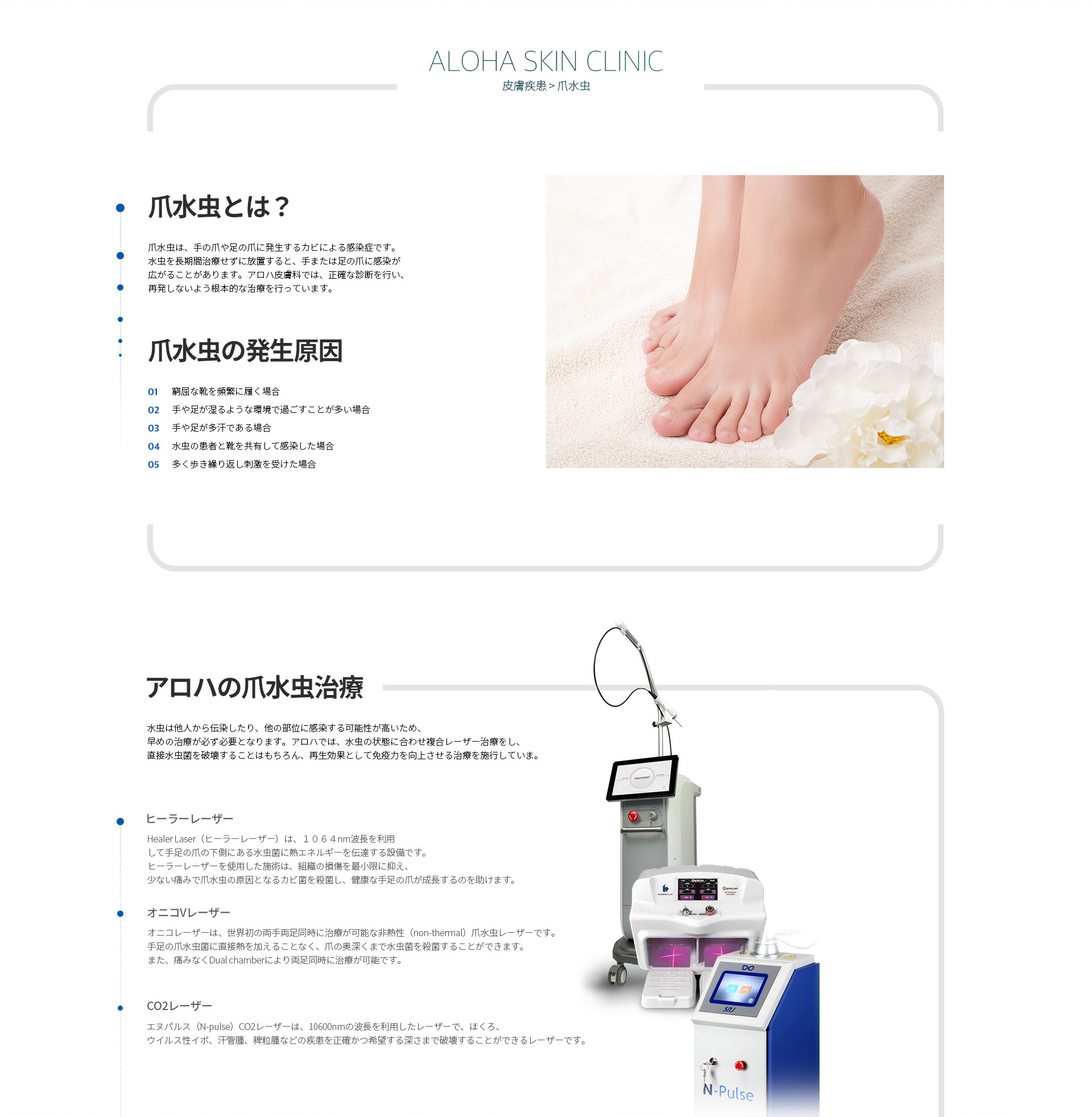 爪水虫